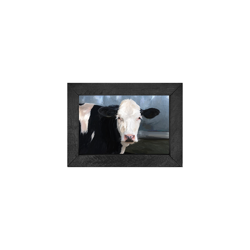 Holstein Cow white face