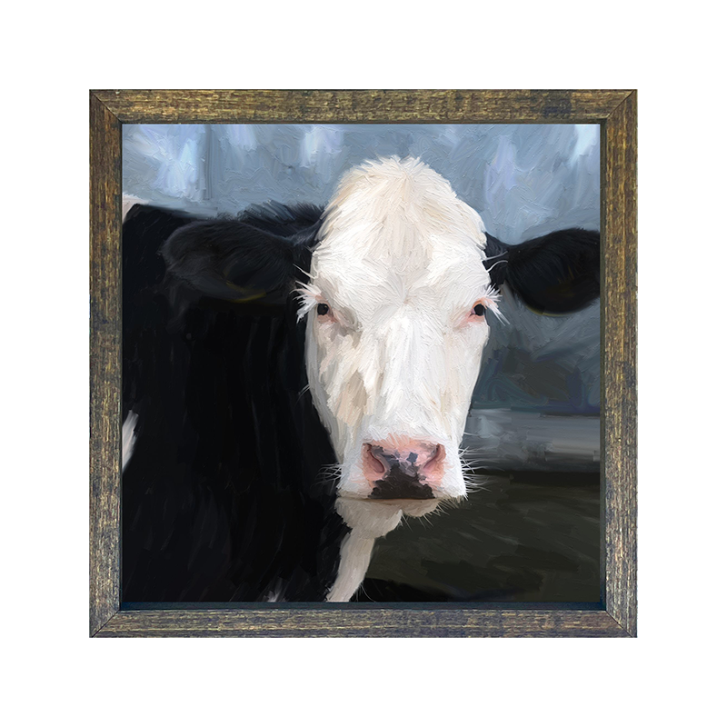 Holstein Cow