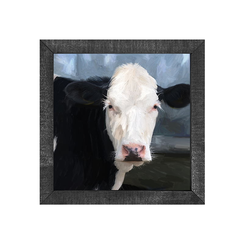 Holstein Cow