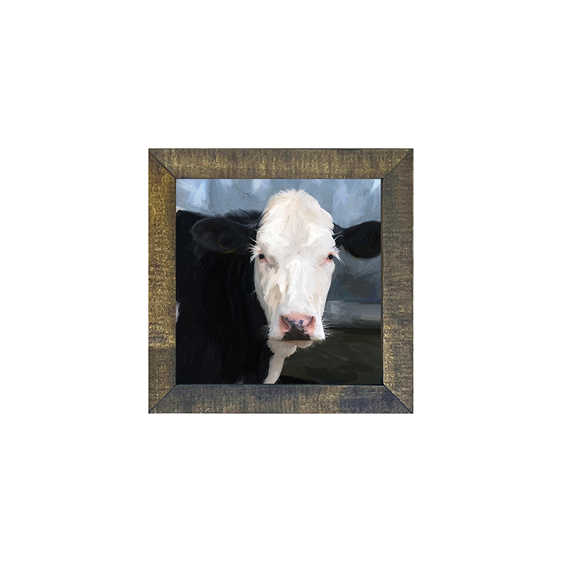 Holstein Cow