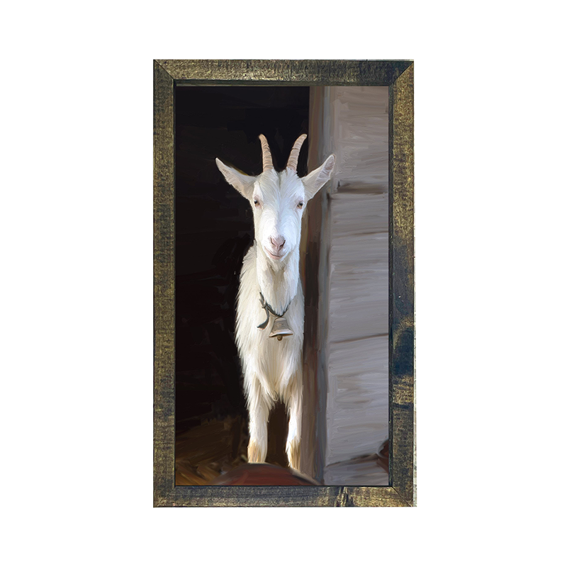 White horned goat