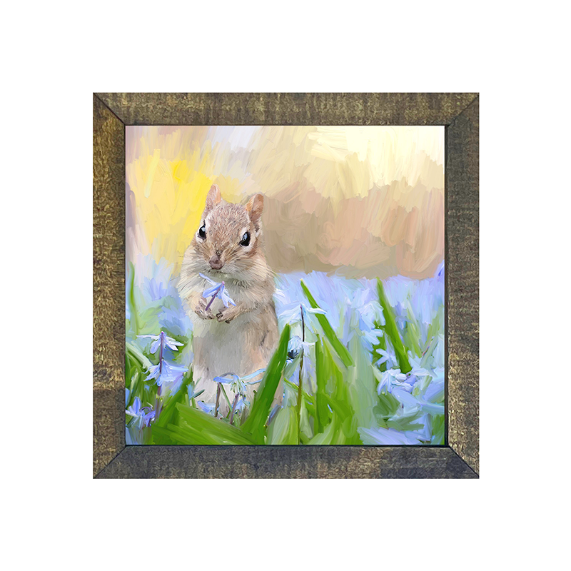 Squirrel