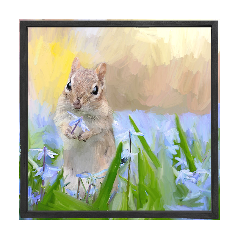 Squirrel