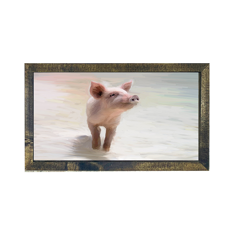 Pig in the sand