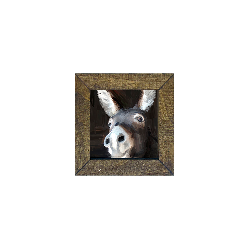 Donkey