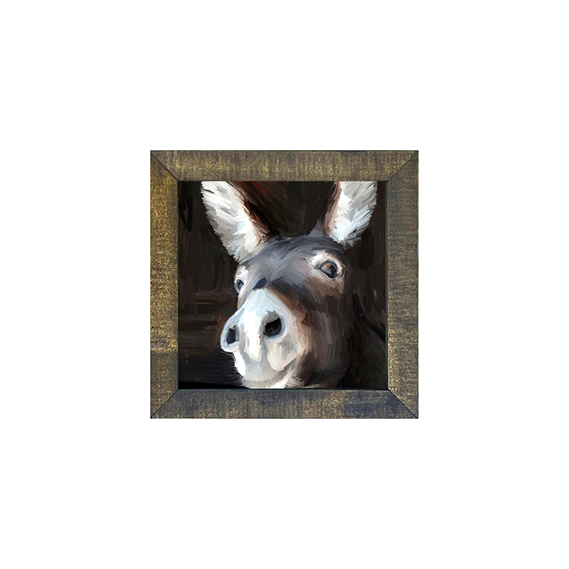 Donkey