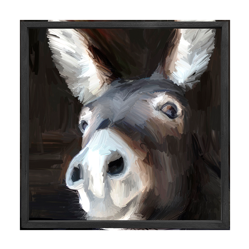 Donkey