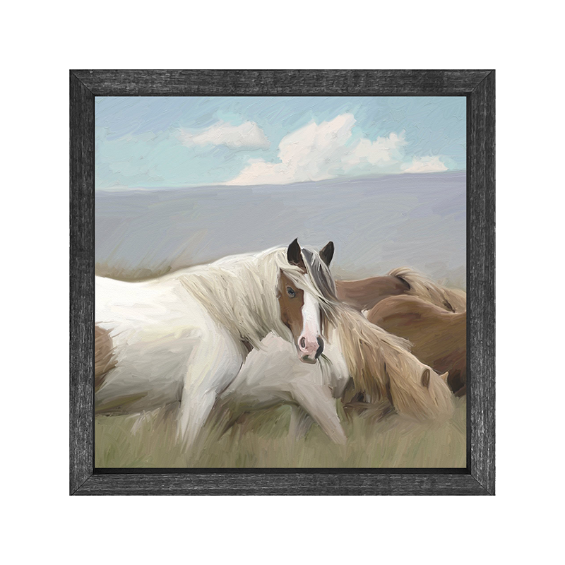 Wild Horses