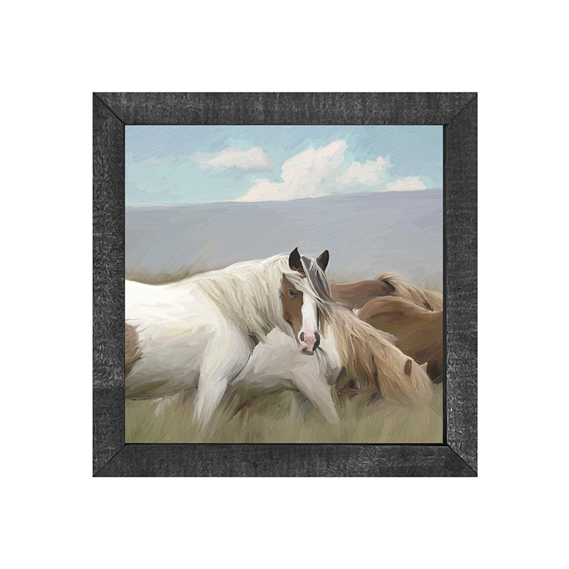 Wild Horses