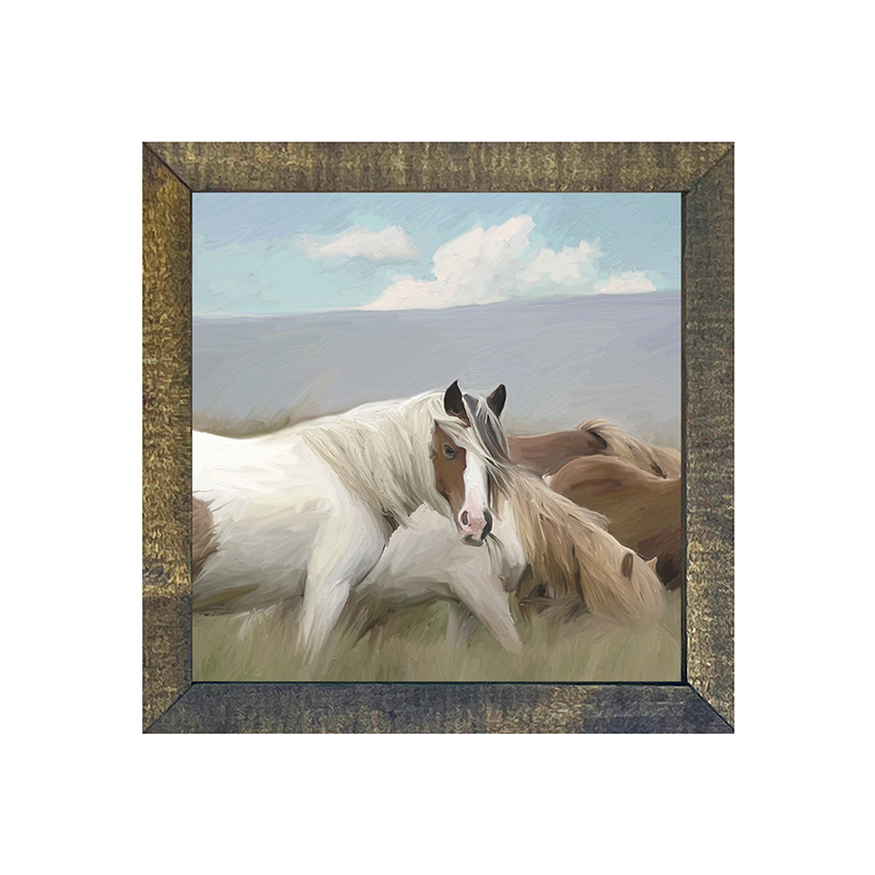 Wild Horses