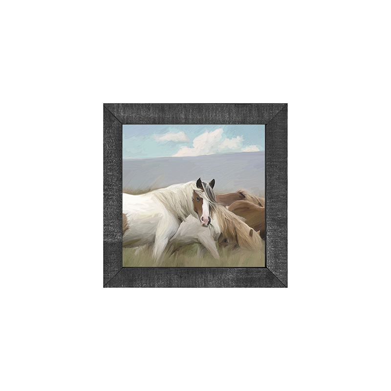 Wild Horses