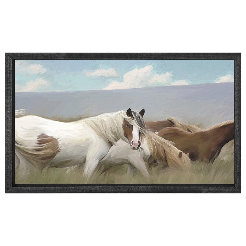 Wild Horses