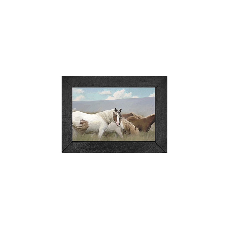 Wild Horses