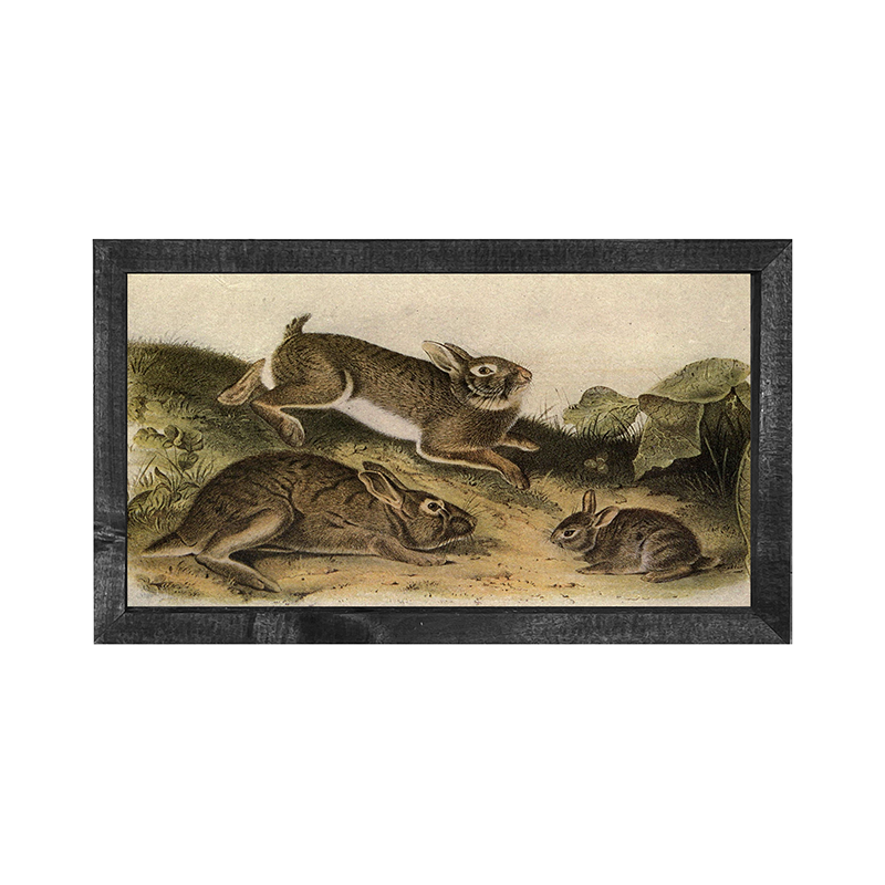 Vintage-playing bunnies