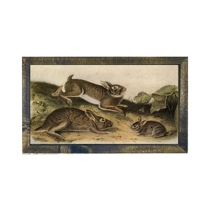 Vintage-playing bunnies
