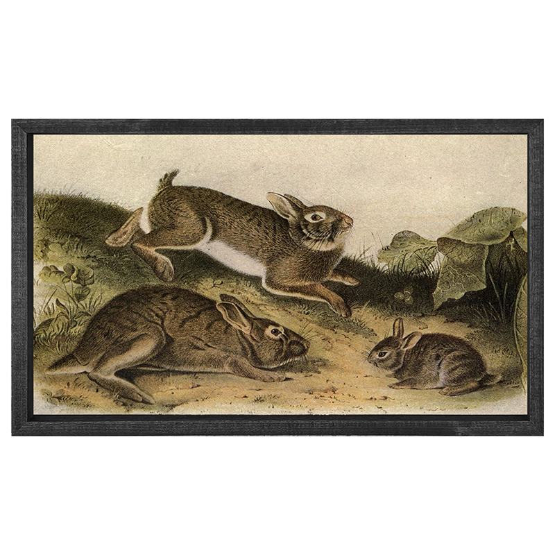 Vintage-playing bunnies
