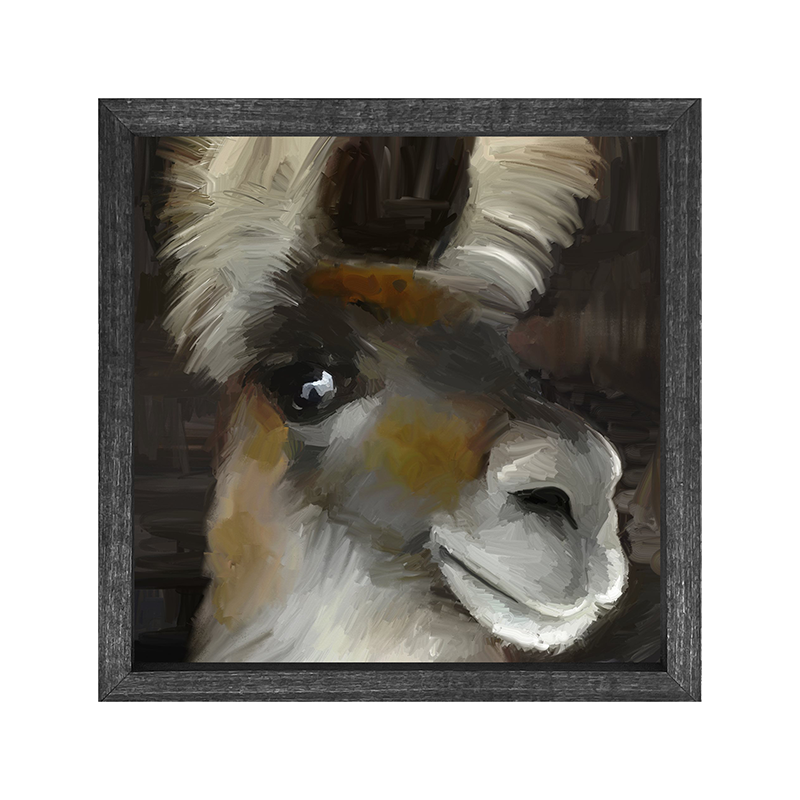 Beth's Llama