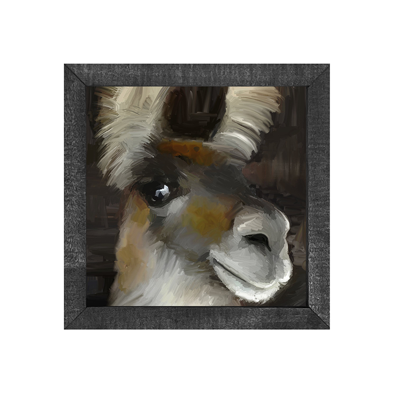 Beth's Llama