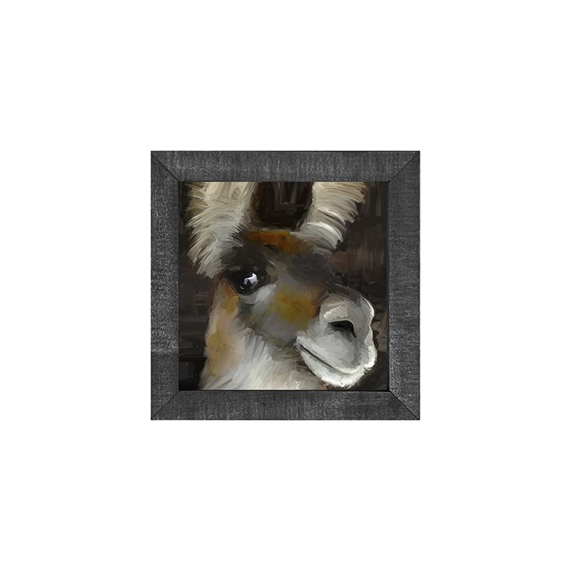 Beth's Llama
