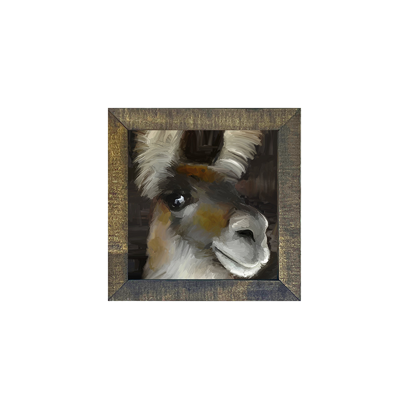 Beth's Llama
