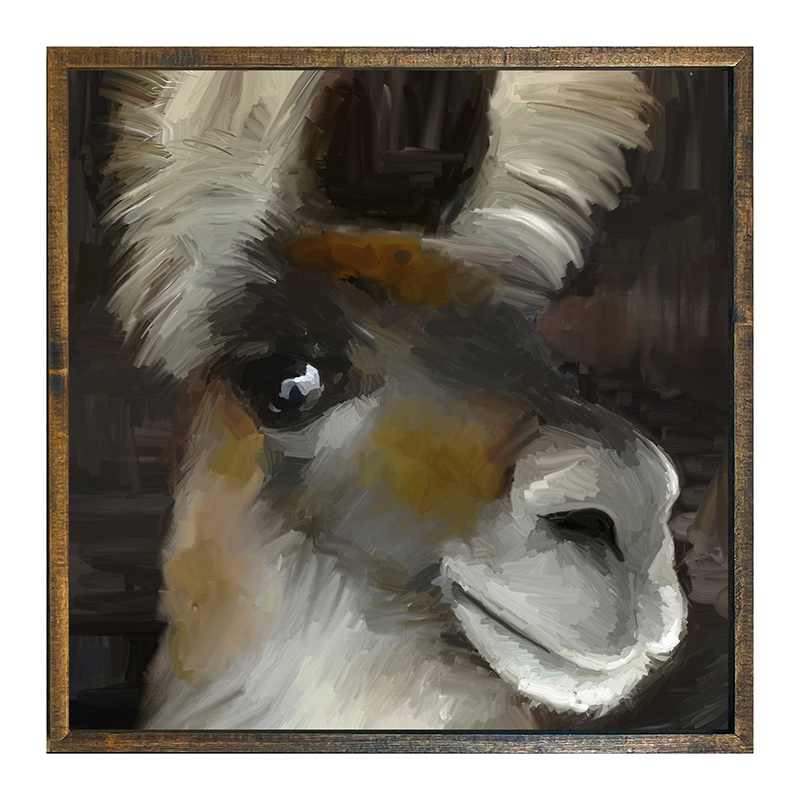 Beth's Llama