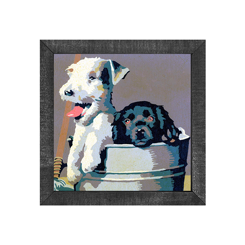 Dogs in washtub