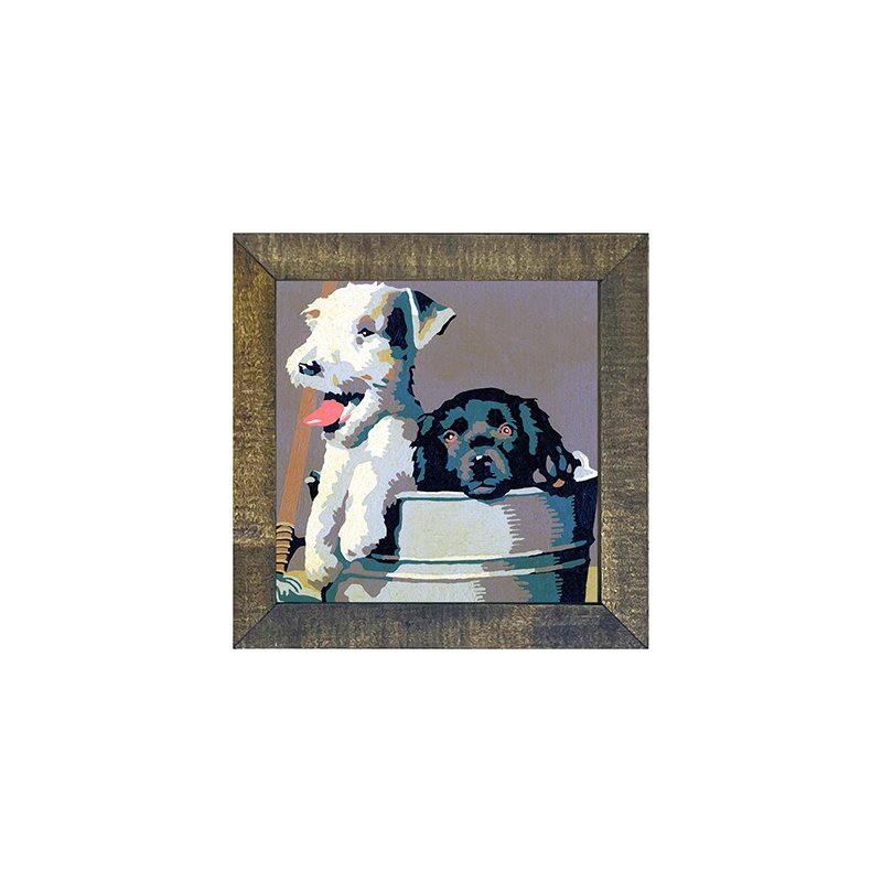 Dogs in washtub