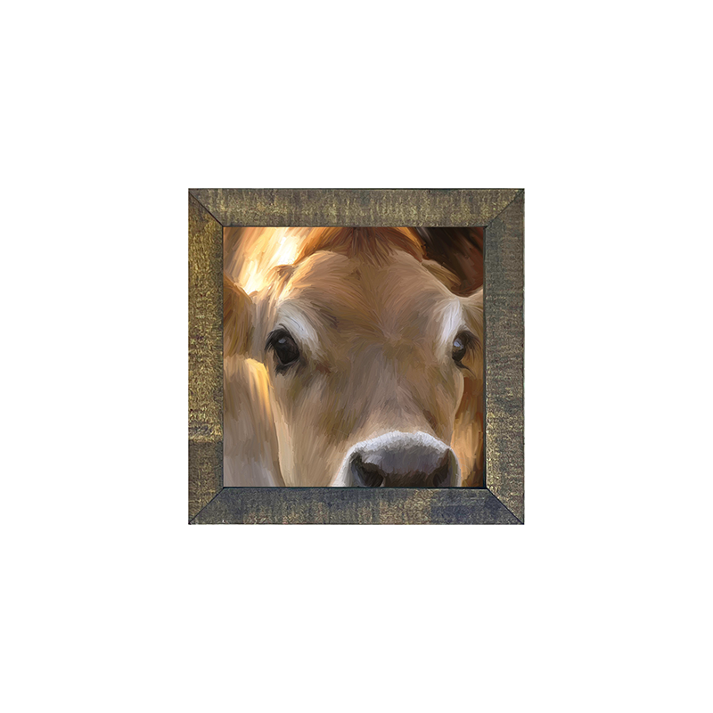 Cow-Jersey