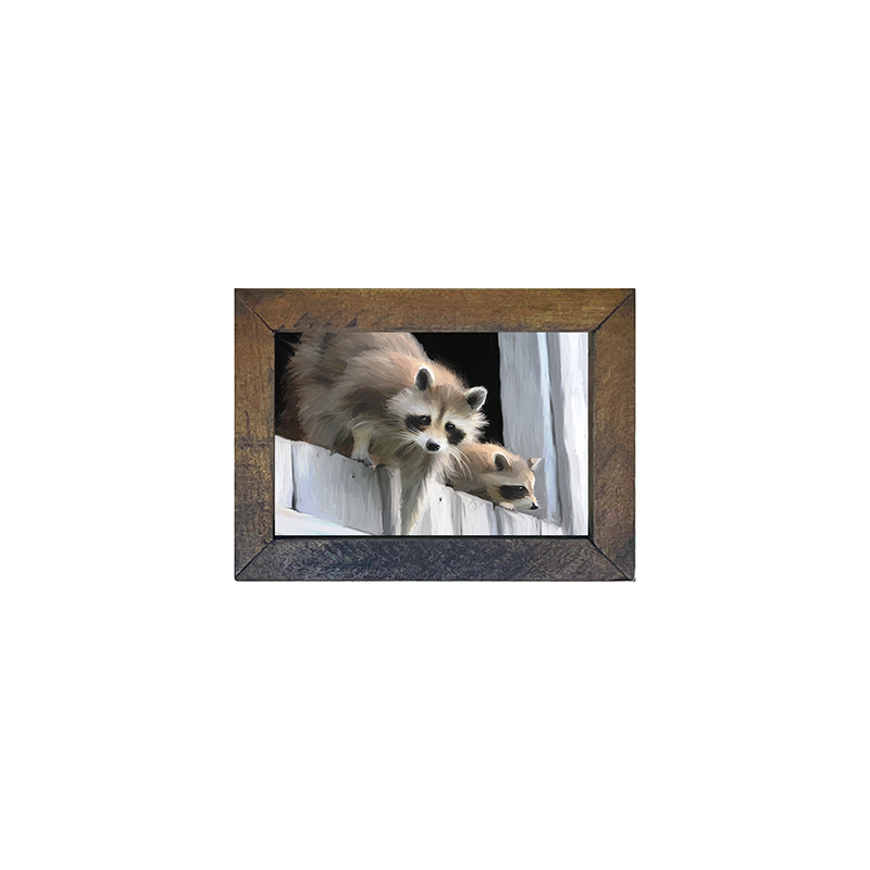 Raccoons horizontal