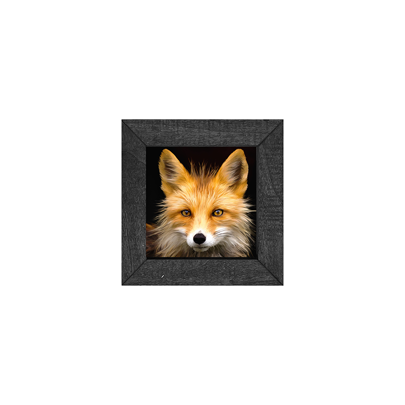 Fox