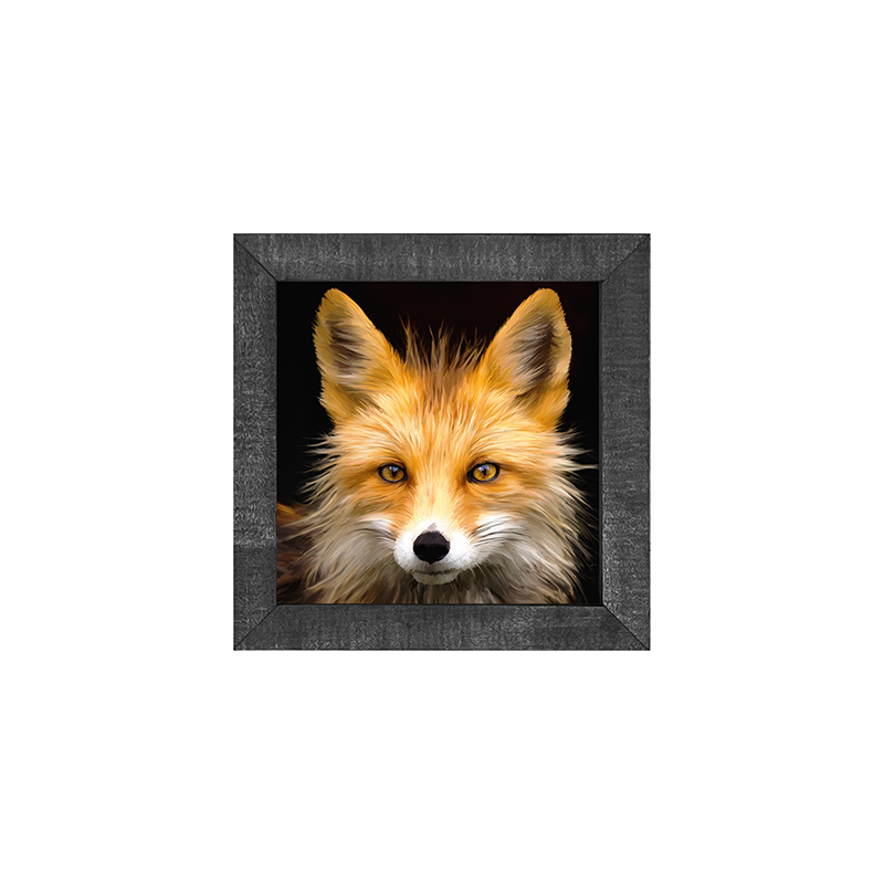 Fox