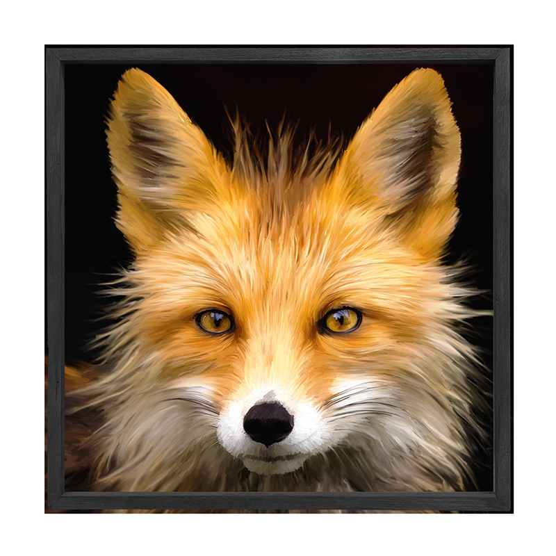 Fox
