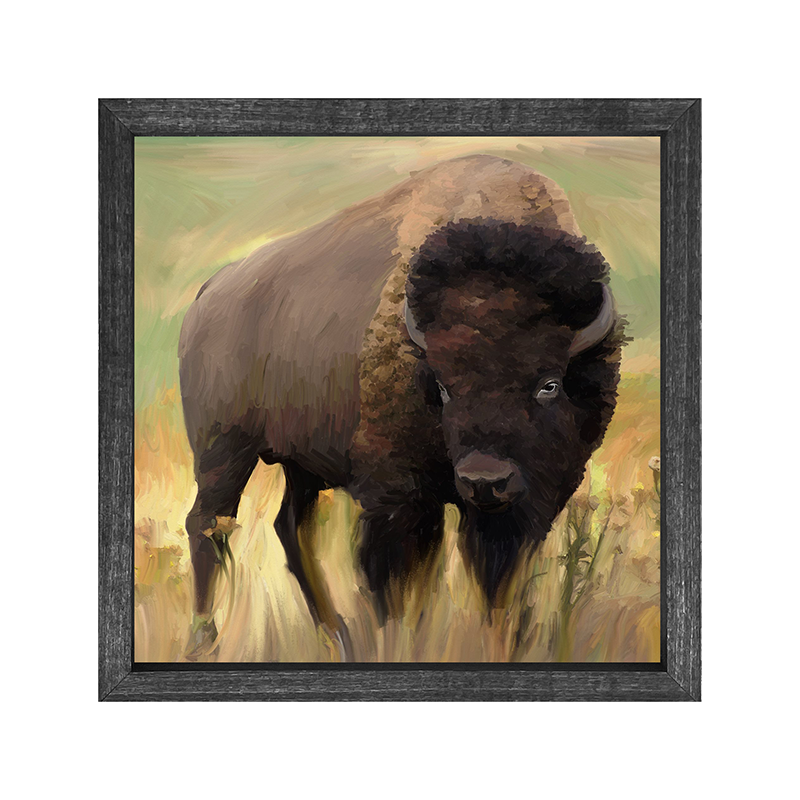 Buffalo