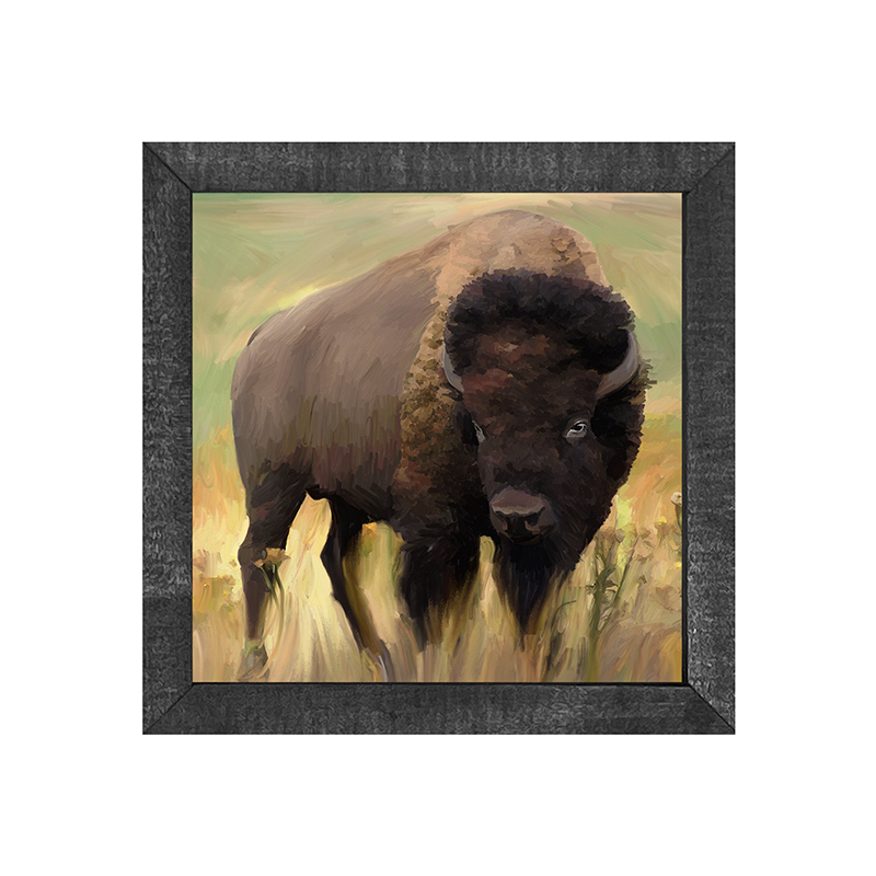 Buffalo