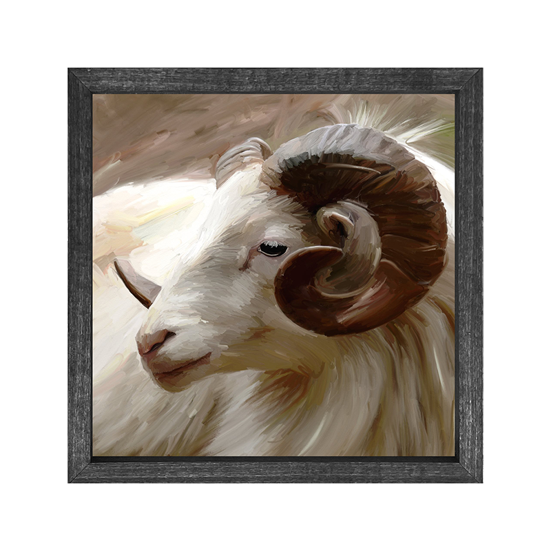 Ram