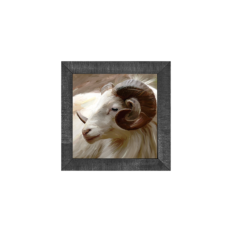Ram