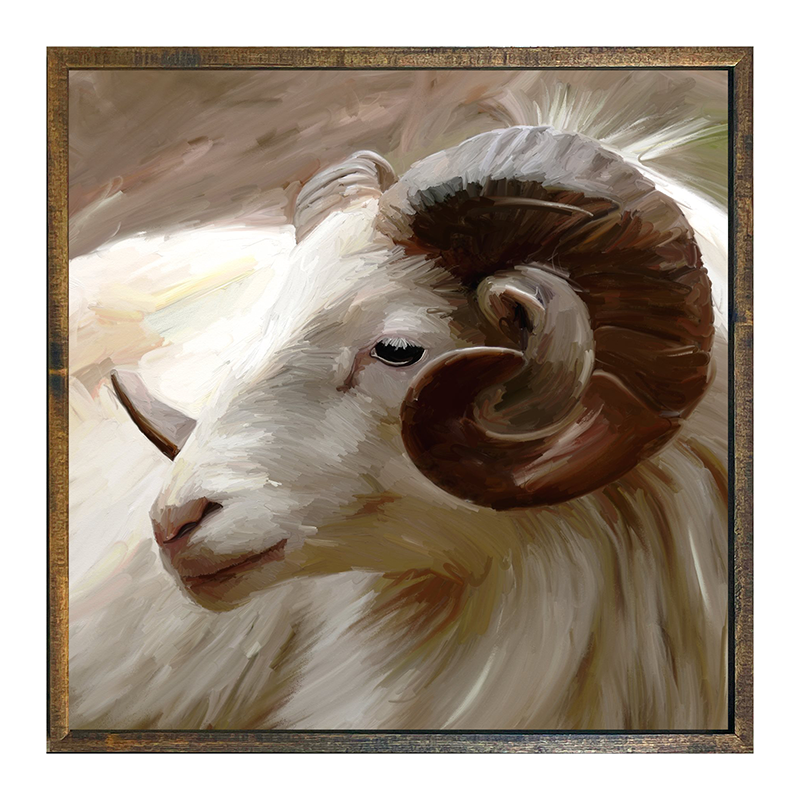 Ram