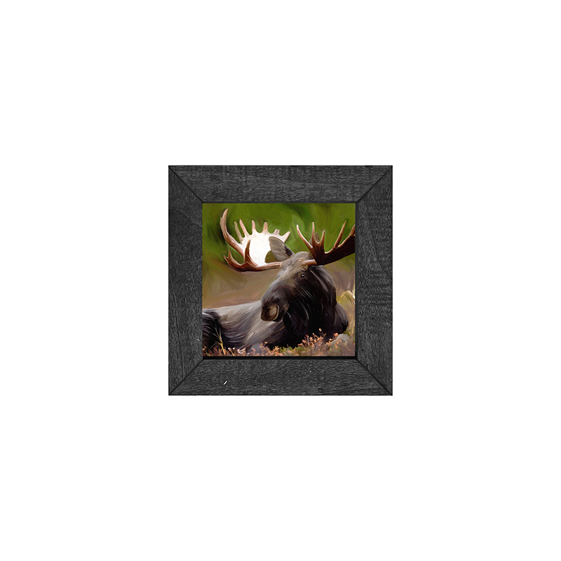 Moose