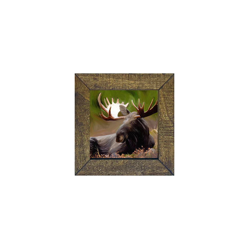 Moose