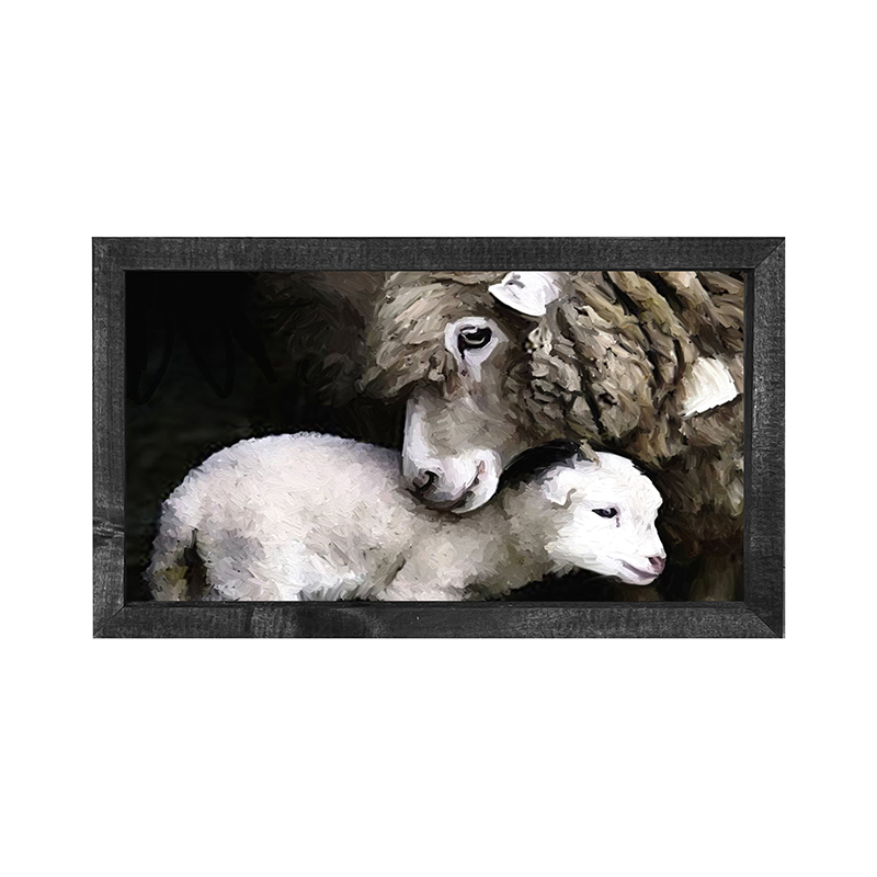 Newborn sheep H