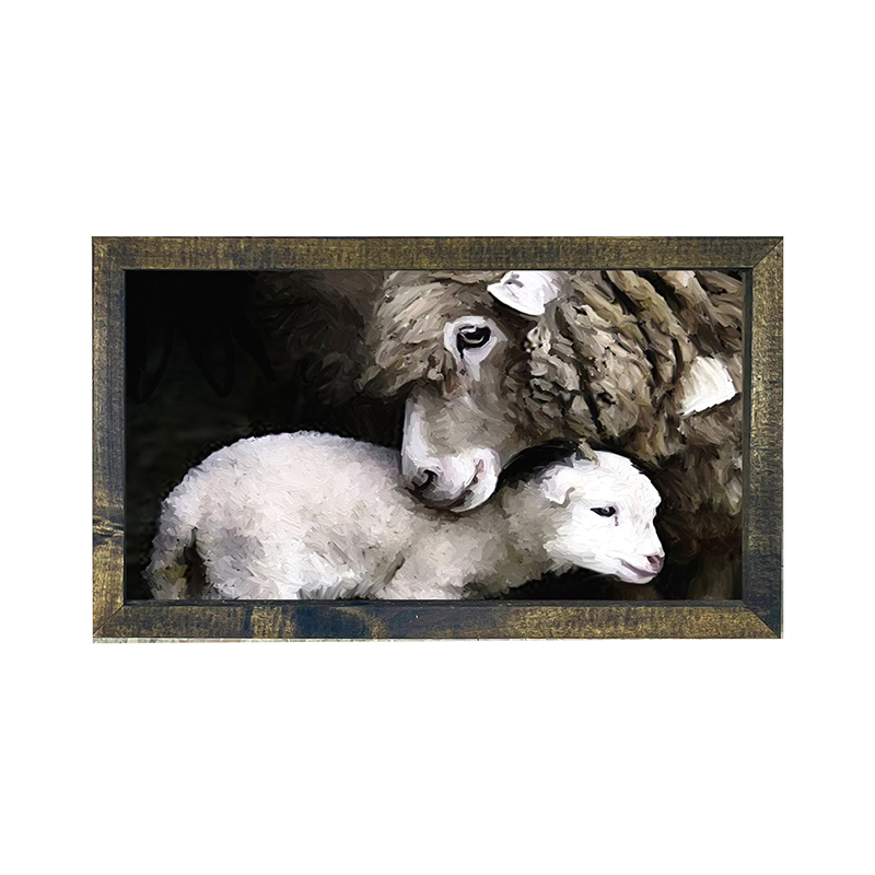 Newborn sheep H