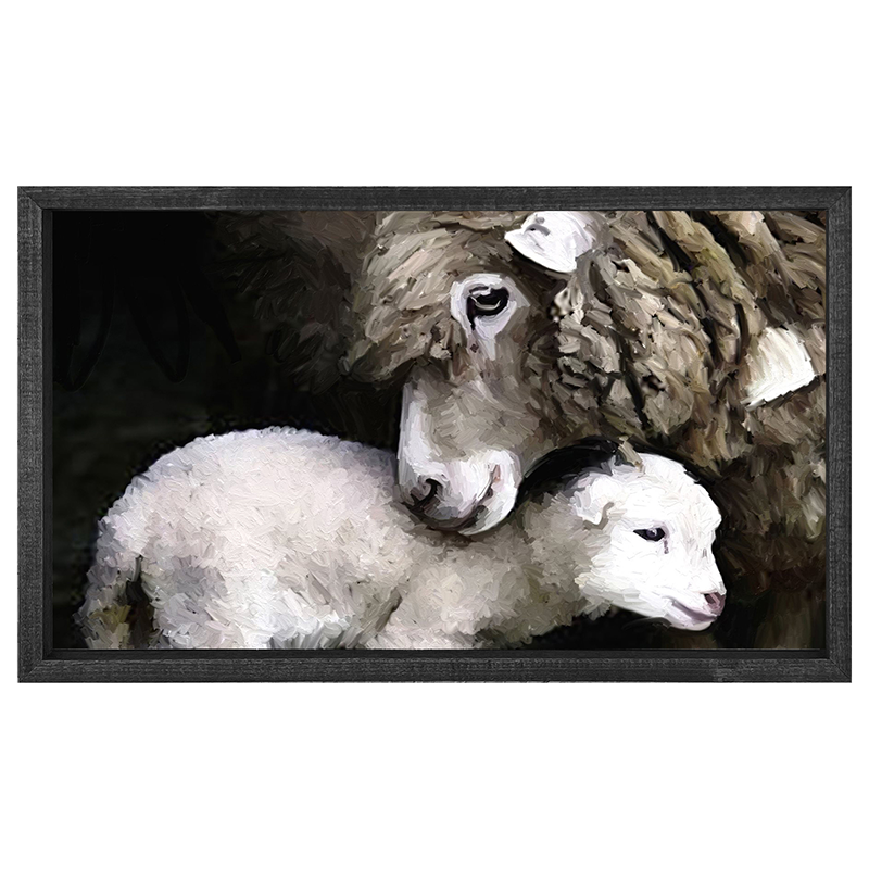 Newborn sheep H