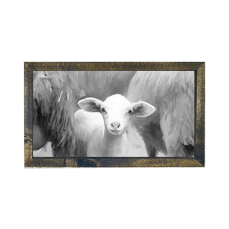 Baby Lamb