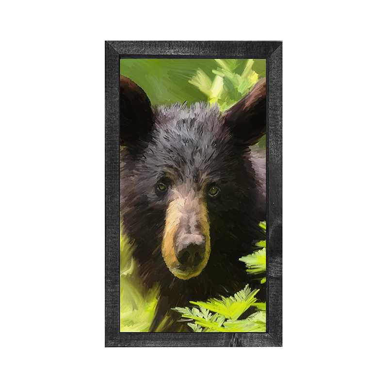 Bear Cub