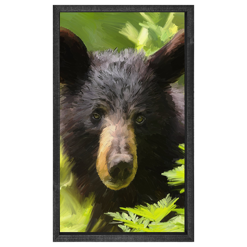 Bear Cub
