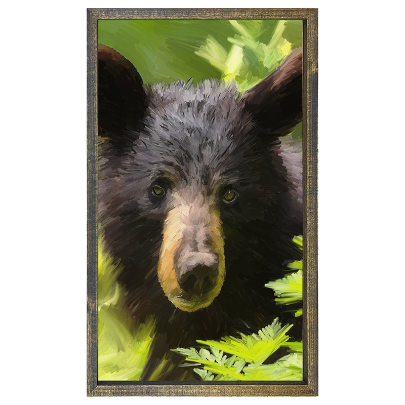 Bear Cub