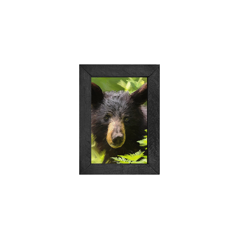 Bear Cub