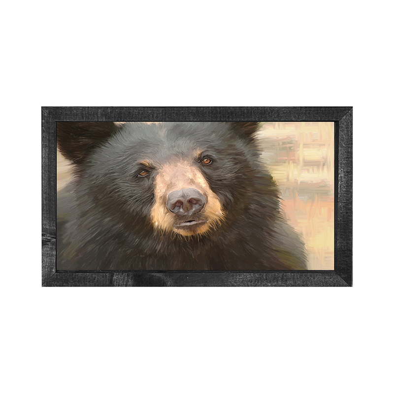 Black Bear