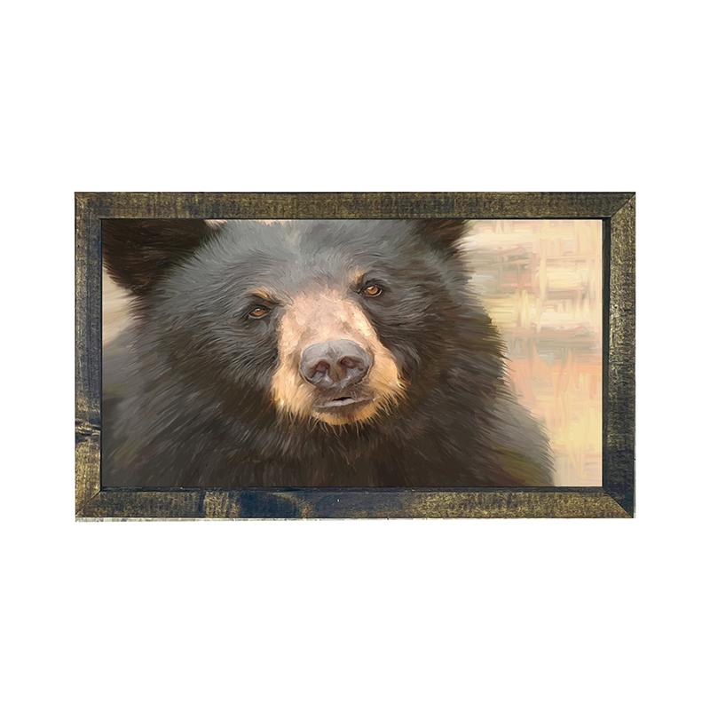 Black Bear