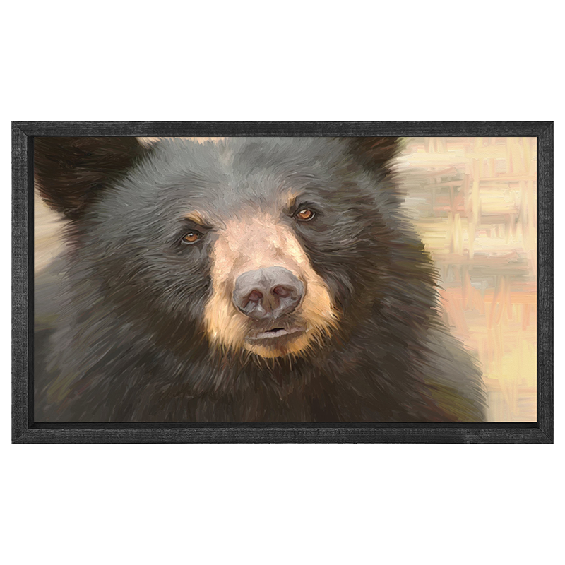 Black Bear